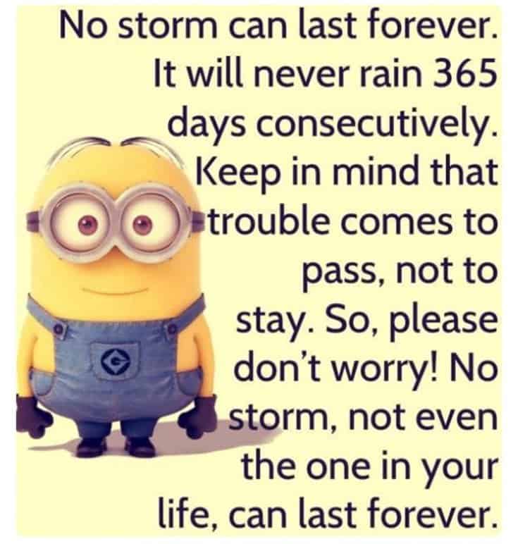 Top 28 Funny Minions Quotes and Pics 26