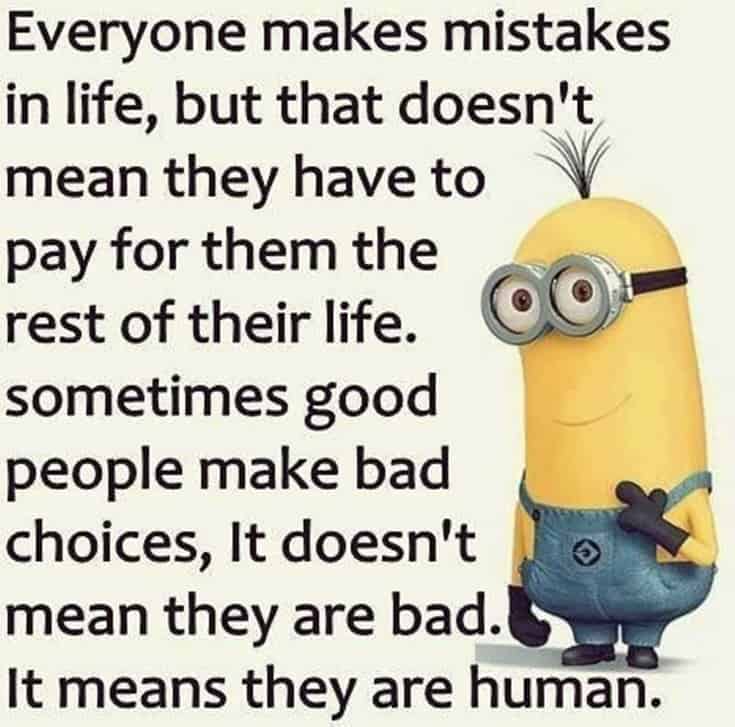 Top 28 Funny Minions Quotes and Pics 27
