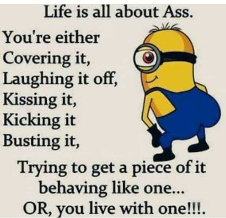 Top 28 Funny Minions Quotes and Pics 6