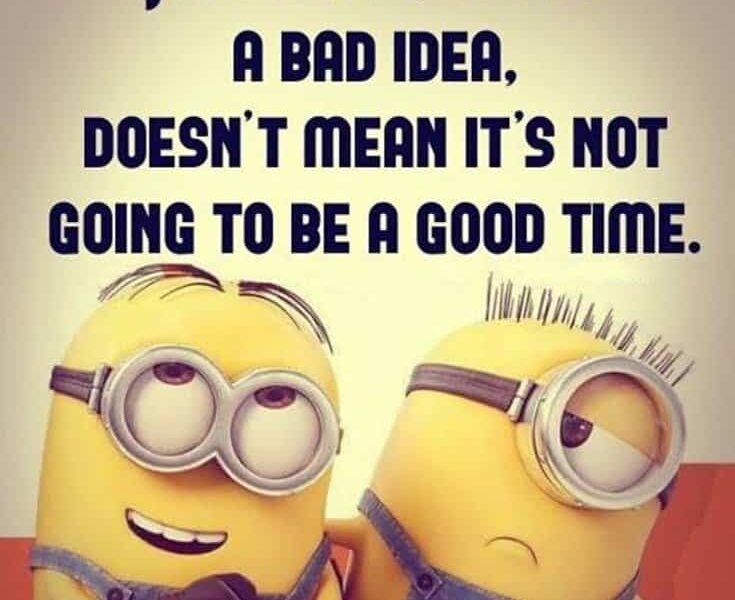 Top 28 Funny Minions Quotes and Pics 9 1