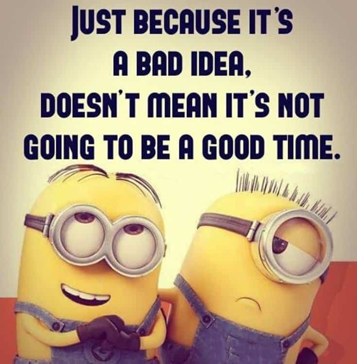 Top 28 Funny Minions Quotes and Pics
