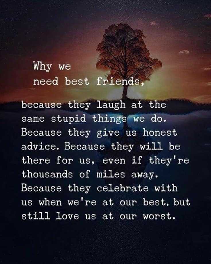 35 Cute  Best Friends  Quotes  True friendship  Quotes  With 