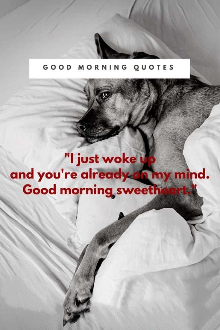 58 Good Morning Memes and Good Morning Quotes With Images 25