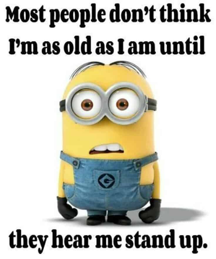 59 Funny Minions Picture Quotes Funny Memes 2
