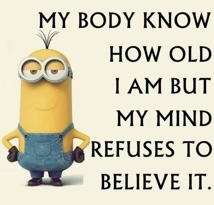 59 Funny Minions Picture Quotes Funny Memes 36