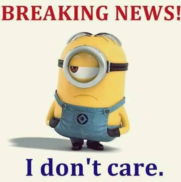 59 Funny Minions Picture Quotes Funny Memes 4