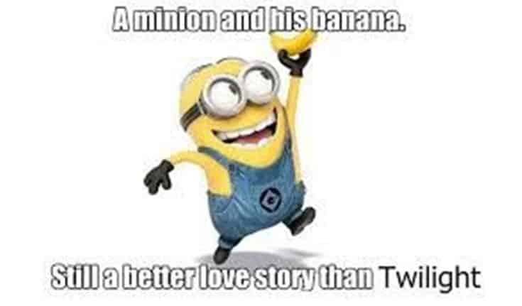 59 Funny Minions Picture Quotes Funny Memes 41