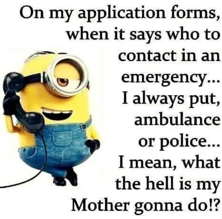 59 Funny Minions Picture Quotes Funny Memes 45