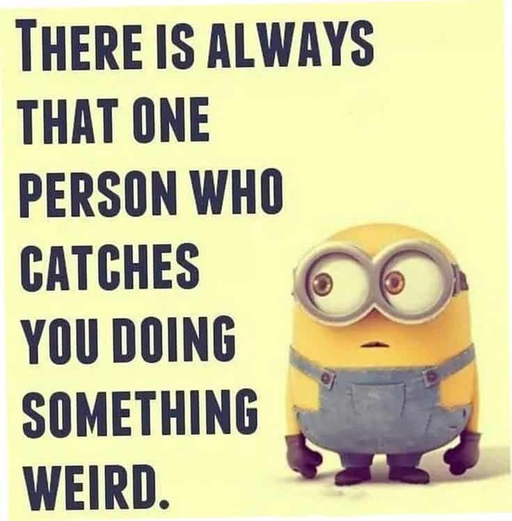 59 Funny Minions Picture Quotes Funny Memes 48