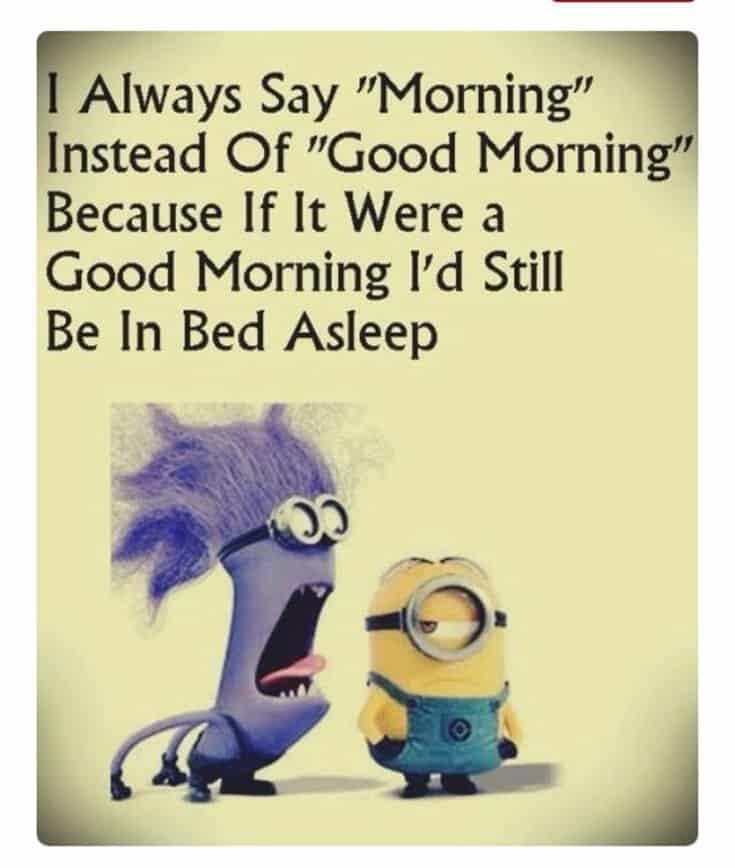 59 Funny Minions Picture Quotes Funny Memes 5