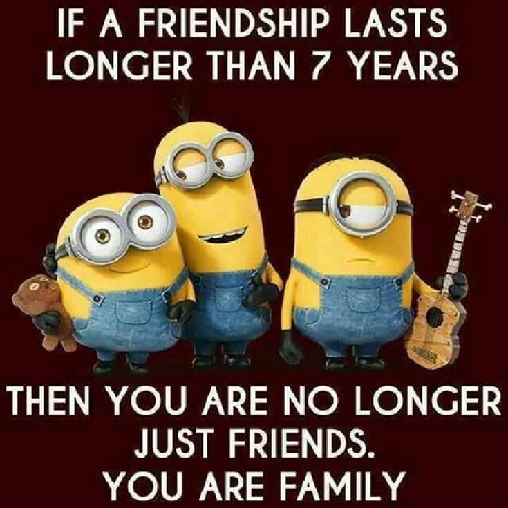 59 Funny Minions Picture Quotes Funny Memes 55