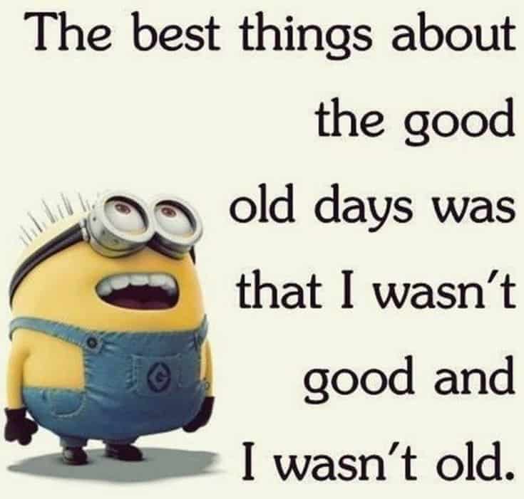 59 Funny Minions Picture Quotes Funny Memes 8