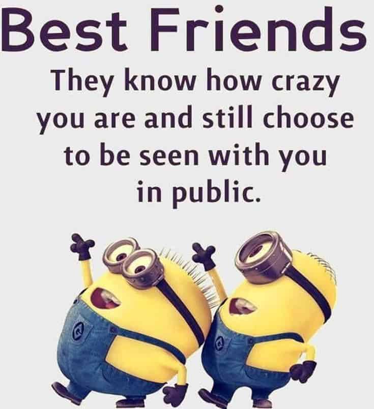59 Funny Minions Picture Quotes Funny Memes 9