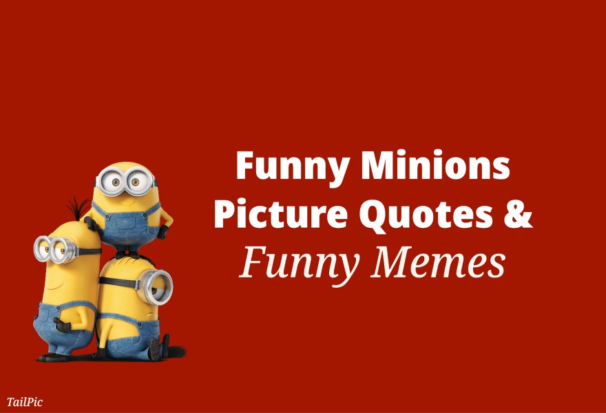 Funny Minions Picture Quotes & Funny Memes