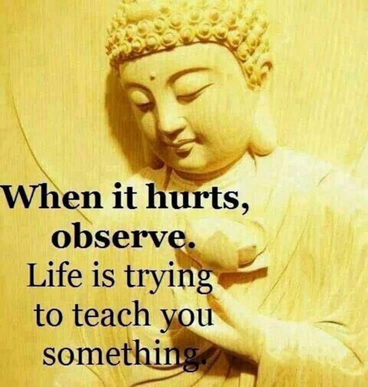 56 Buddha Quotes to Reignite Your Love 14