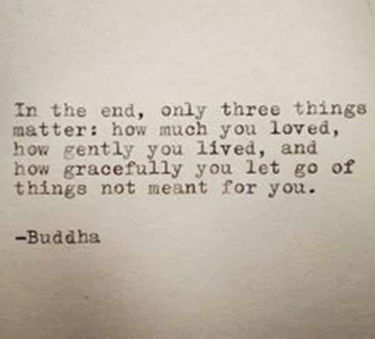 56 Buddha Quotes to Reignite Your Love 30