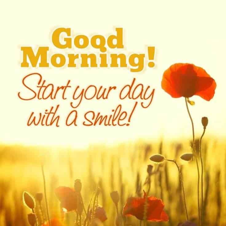 simple-good-morning-cards-best-greetings-ecards-festival-chaska