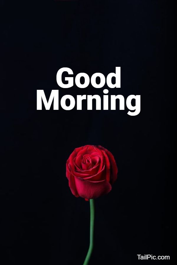 good morning quotes with flowers
