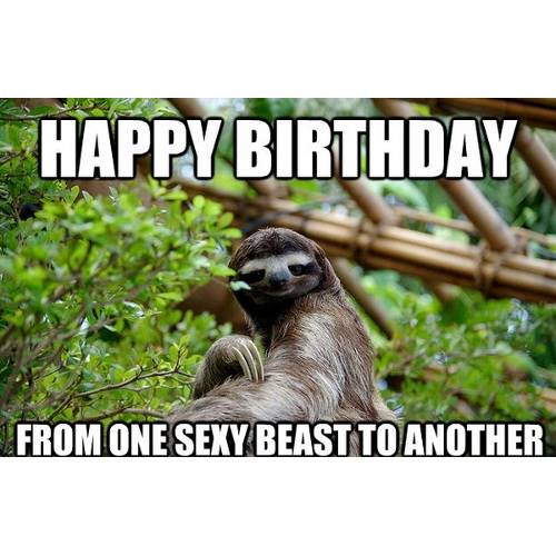 Funny Happy Birthday Memes That Will Render You Wishes 17