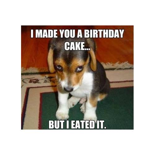 Funny Happy Birthday Memes That Will Render You Wishes 4