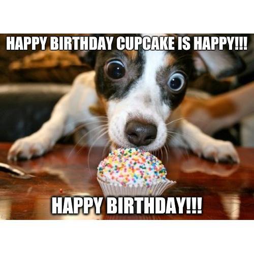 Funny Happy Birthday Memes That Will Render You Wishes 5