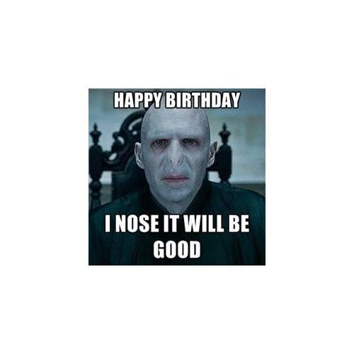 Funny Happy Birthday Memes That Will Render You Wishes 7