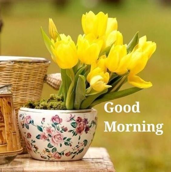 best good morning greetings images Wishes messages 2