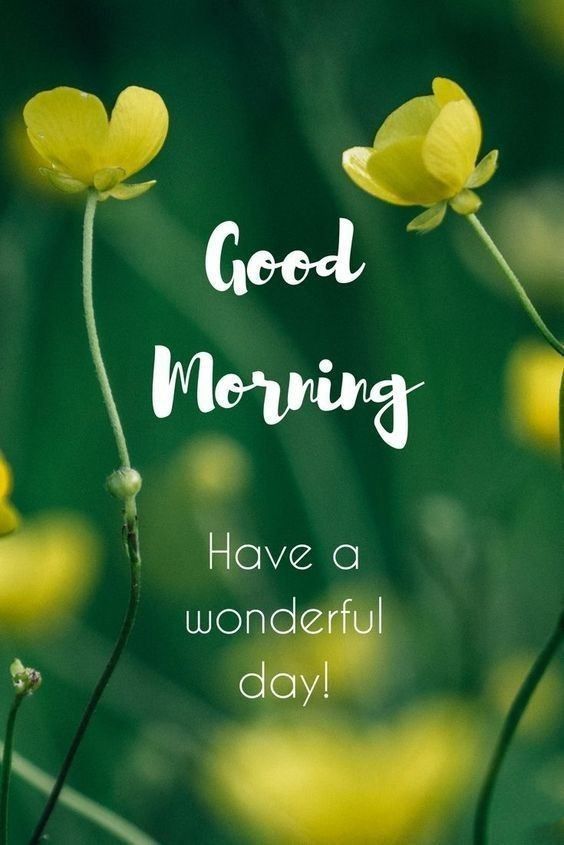 45 Best Good Morning Greetings Images, Wishes, Messages (2022)