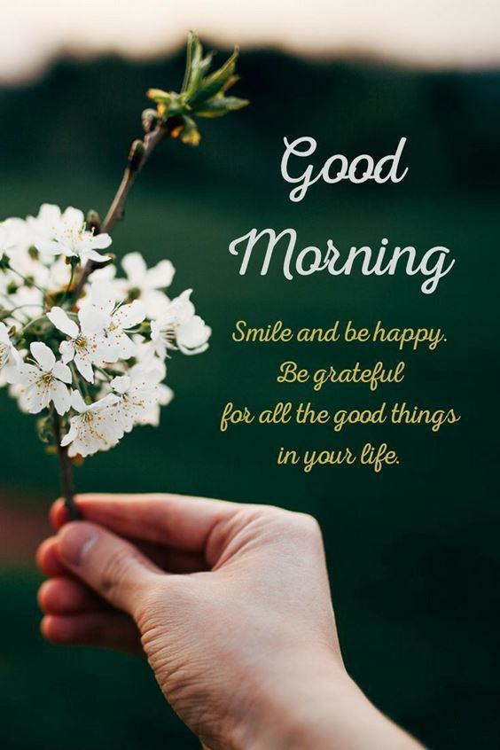 best good morning greetings images Wishes messages 42