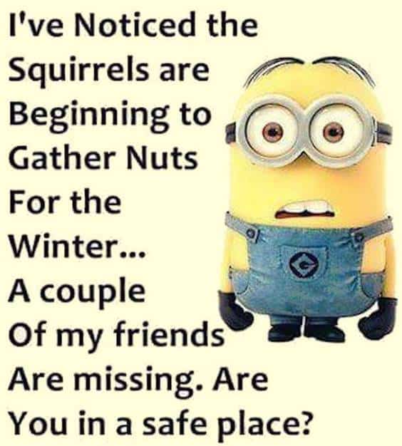 40 Funny Jokes Minions Quotes With Images Funny Text Messages 39