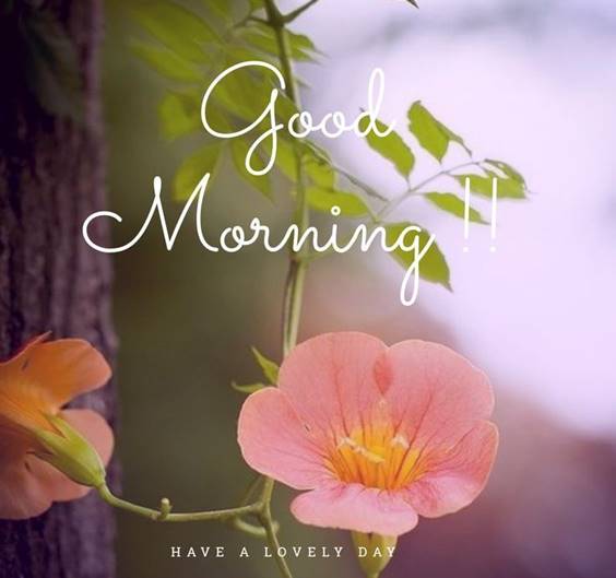 45 good morning darling romantic good morning message and good morning sms for her