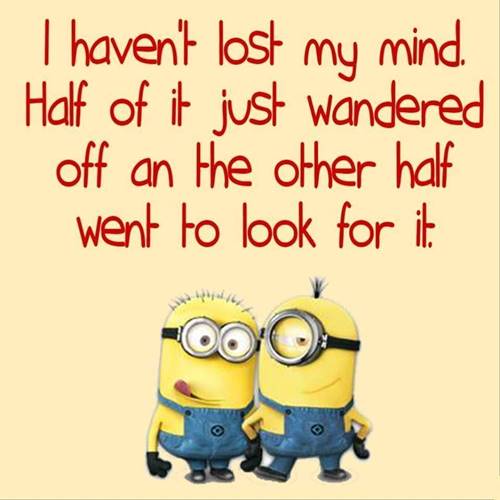 36 Best Minion Quotes Images Funny Sayings 12