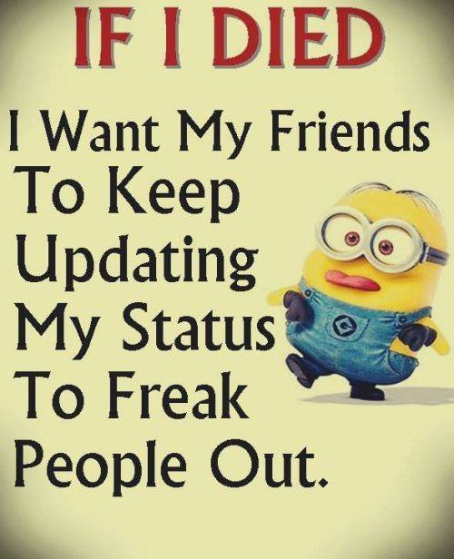 36 Best Minion Quotes Images Funny Sayings minion funnies minion images with quotes
