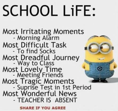 36 Best Minion Quotes Images Funny Sayings 25