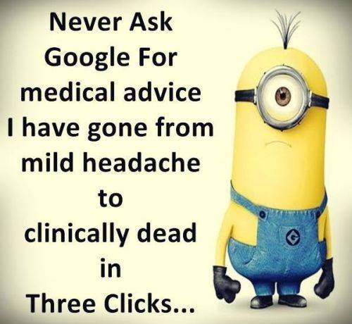 36 Best Minion Quotes Images Funny Sayings 33