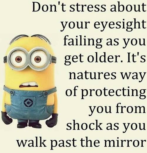 36 Best Minion Quotes Images Funny Sayings 35