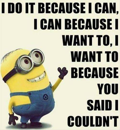 36 Best Minion Quotes Images Funny Sayings 4