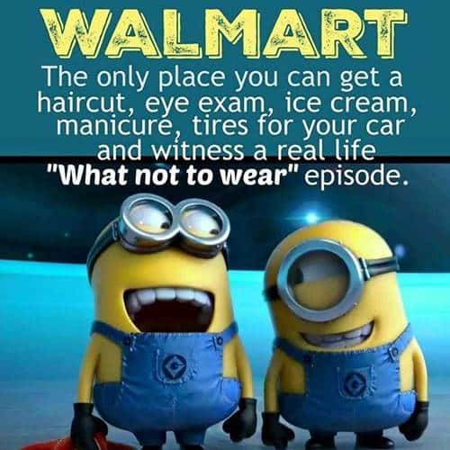 36 Best Minion Quotes Images Funny Sayings 5