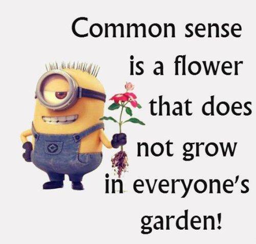 36 Best Minion Quotes Images Funny Sayings 6