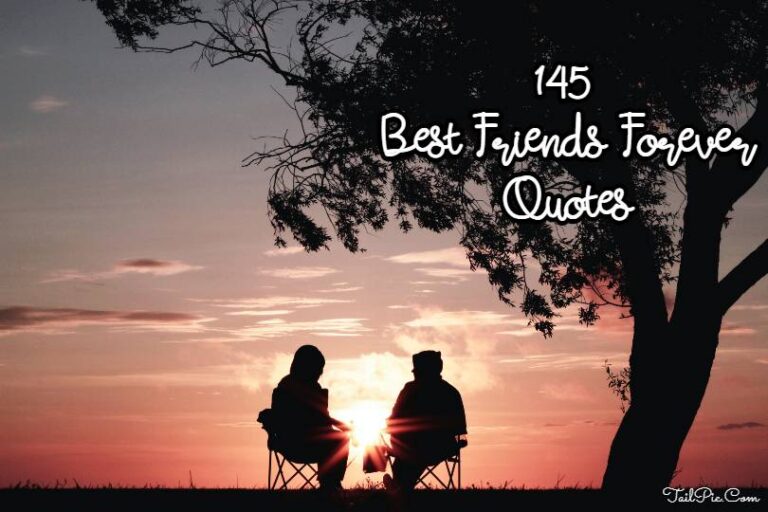 145 Best Friends Forever Quotes, Messages and Wishes For Him and Her