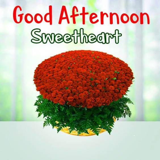 cute good afternoon quotes and images good afternoon images