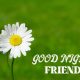 good night messages for friends quotes with images