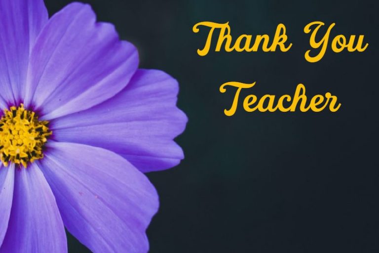 147 Best Thank You Teacher Messages – Teacher Appreciation Thank You Notes