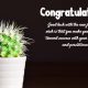 Congratulation Messages For New Job The Best Collection Wishes Quotes