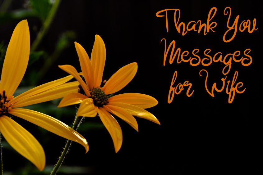 Thank You Messages for Wife And Wishes Appreciation Quotes About Be Thankful