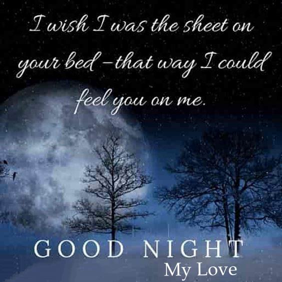 good night and sweet dreams my love