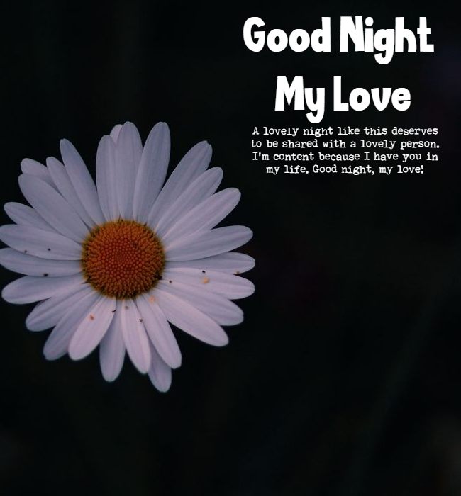 romantic good night wishes 1