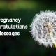 Beautiful Congratulations On Your Pregnancy Wishes And Messages