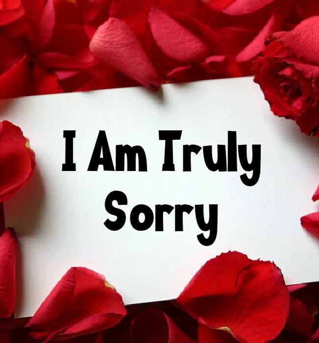 apology quotes for wife