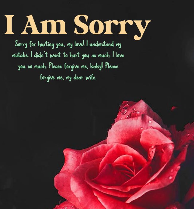 sorry quotes for wife
